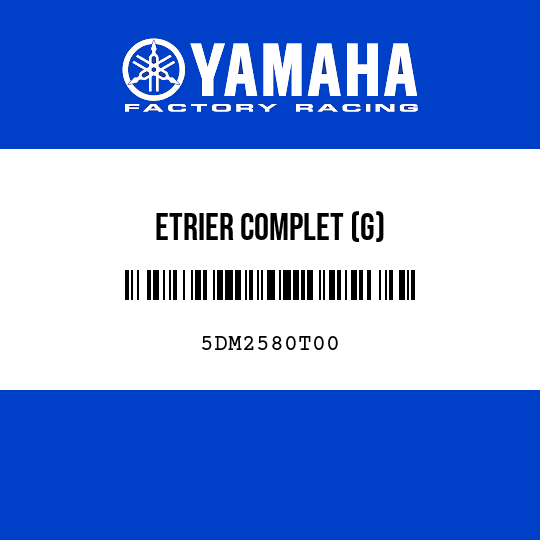 ETRIER COMPLET (G)