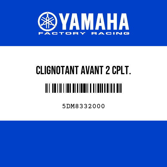 CLIGNOTANT AVANT 2 CPLT.