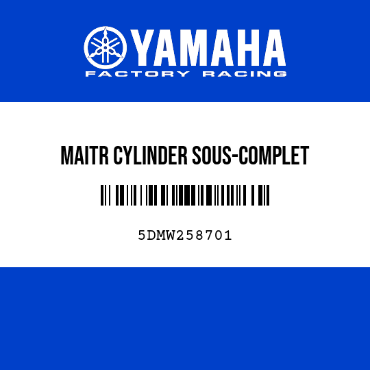 MAITR CYLINDER SOUS-COMPLET