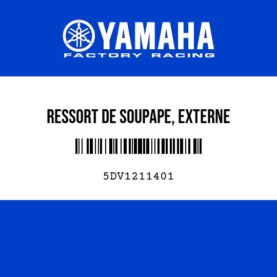 RESSORT DE SOUPAPE, EXTERNE