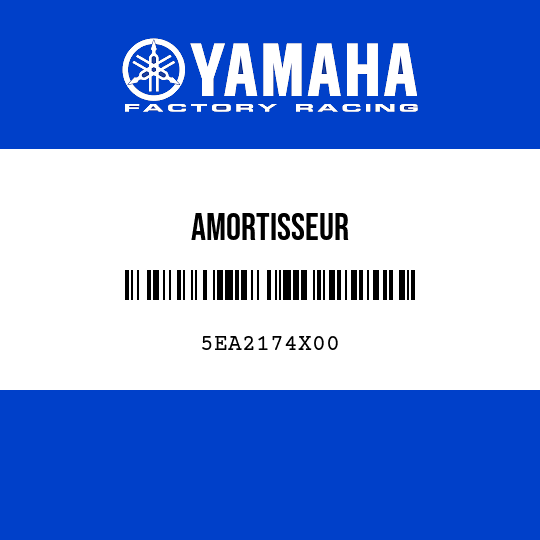 AMORTISSEUR