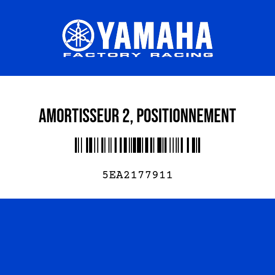 AMORTISSEUR 2, POSITIONNEMENT