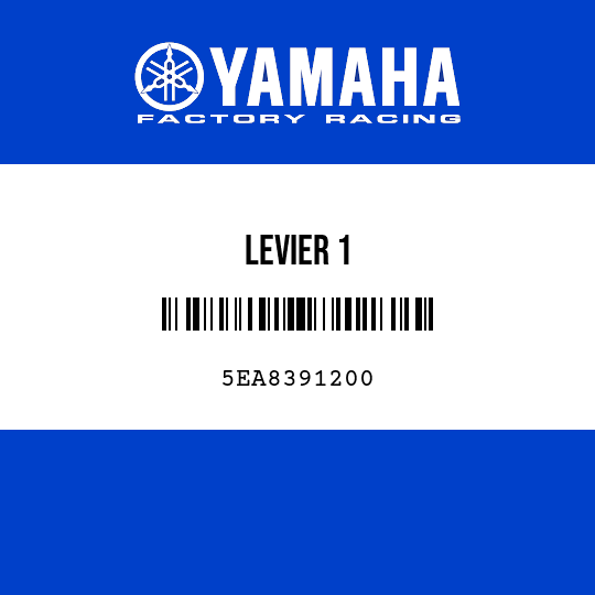 LEVIER 1
