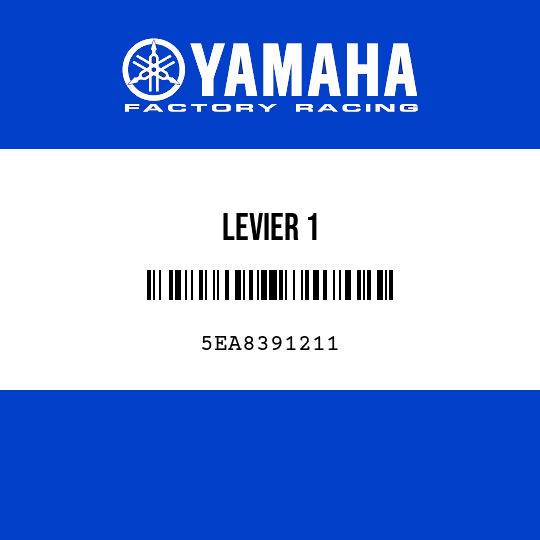 LEVIER 1