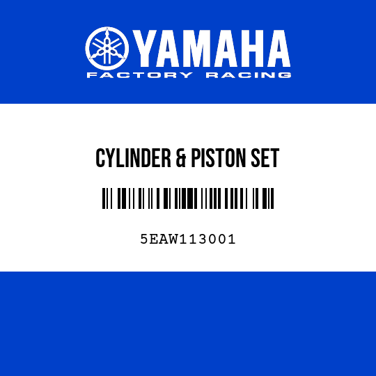 CYLINDER & PISTON SET
