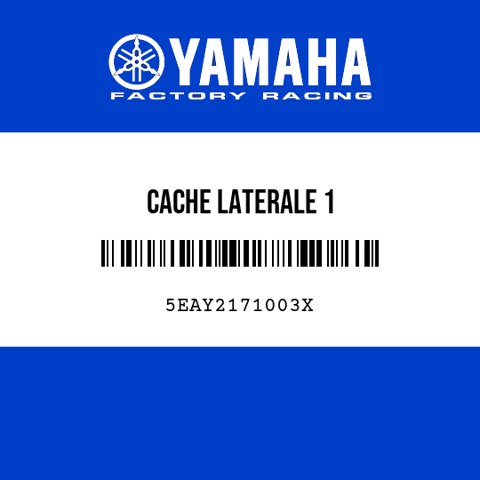 CACHE LATERALE 1