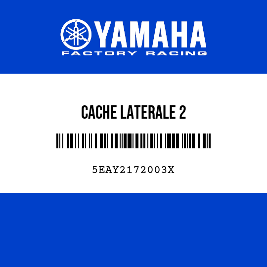 CACHE LATERALE 2