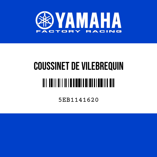 COUSSINET DE VILEBREQUIN