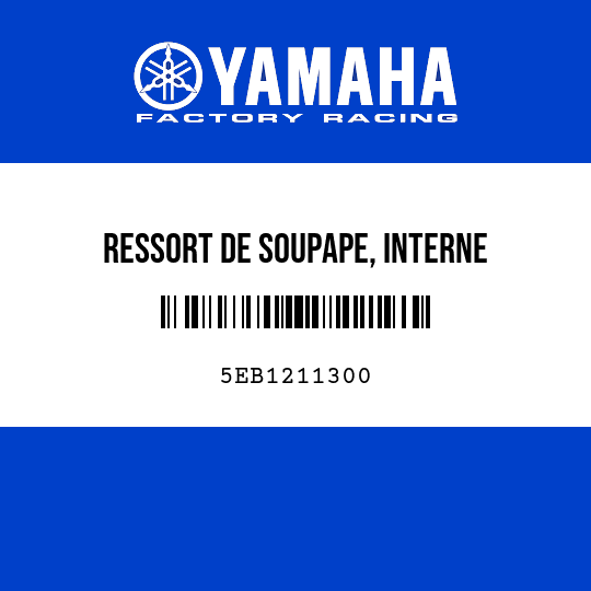 RESSORT DE SOUPAPE, INTERNE