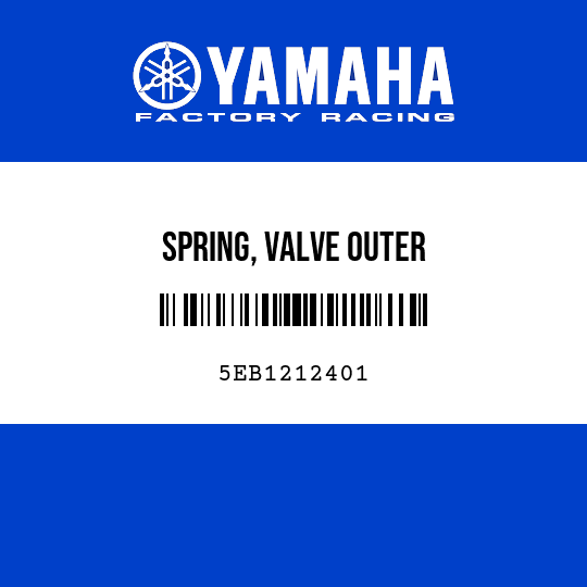 SPRING, VALVE OUTER