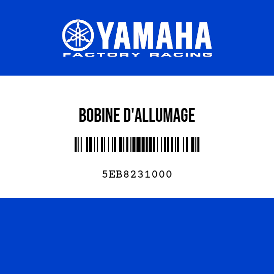BOBINE D'ALLUMAGE