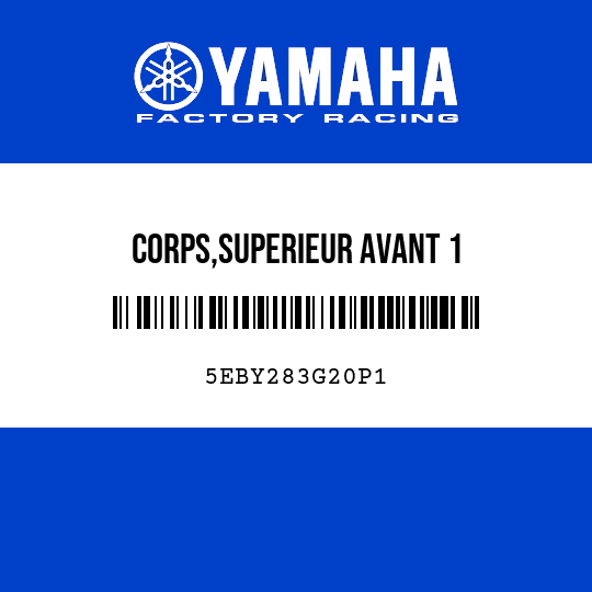 CORPS,SUPERIEUR AVANT 1