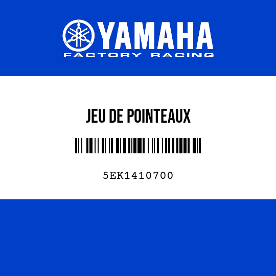 JEU DE POINTEAUX