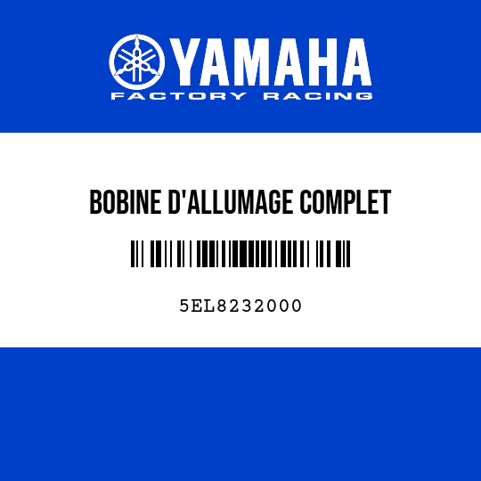 BOBINE D'ALLUMAGE COMPLET