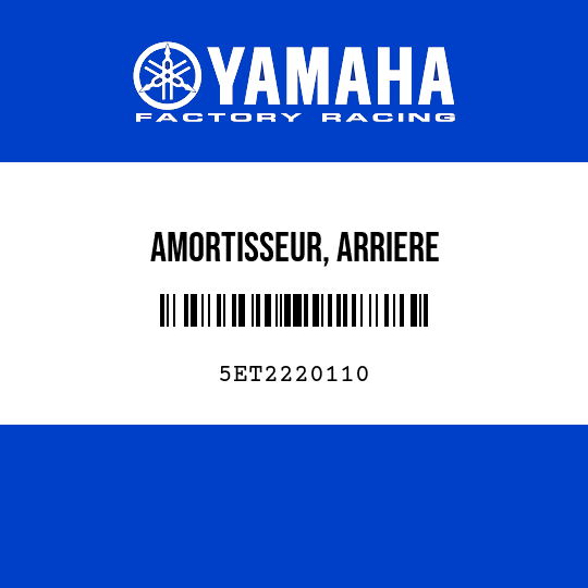 AMORTISSEUR, ARRIERE