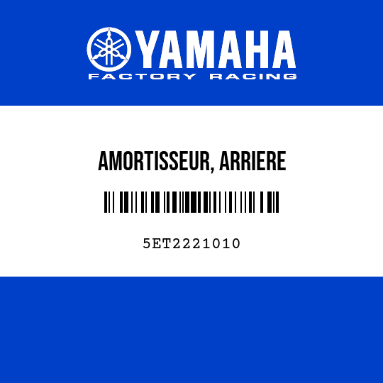 AMORTISSEUR, ARRIERE