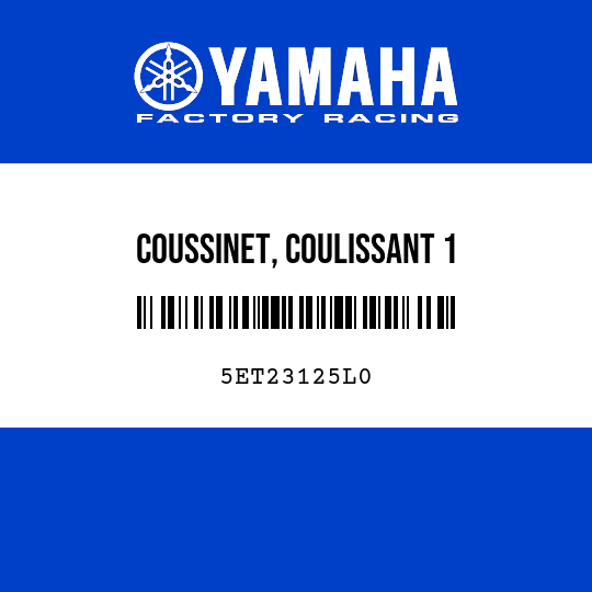 COUSSINET, COULISSANT 1