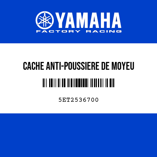 CACHE ANTI-POUSSIERE DE MOYEU