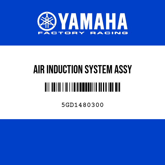 AIR INDUCTION SYSTEM ASSY
