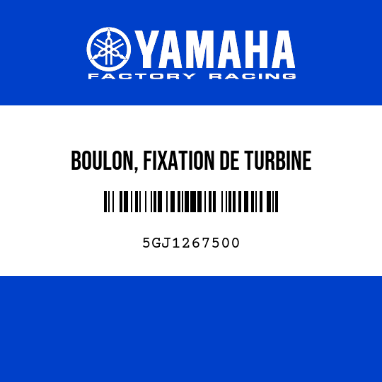 BOULON, FIXATION DE TURBINE