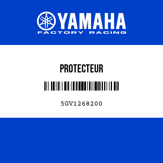 PROTECTEUR