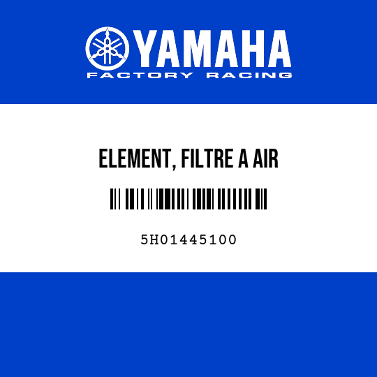 ELEMENT, FILTRE A AIR