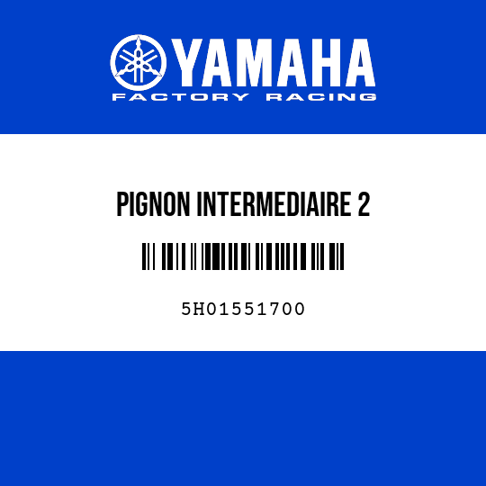 PIGNON INTERMEDIAIRE 2