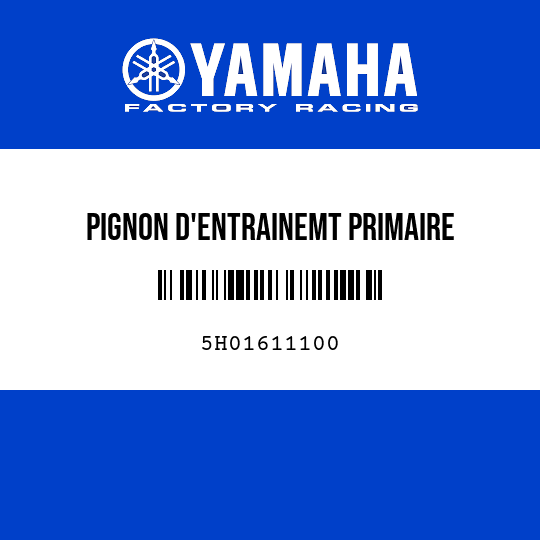 PIGNON D'ENTRAINEMT PRIMAIRE
