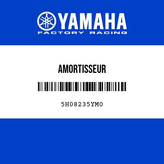 AMORTISSEUR