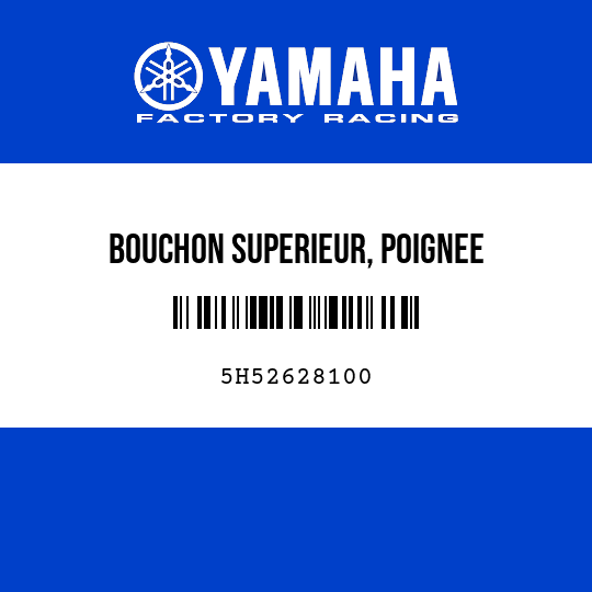 BOUCHON SUPERIEUR, POIGNEE