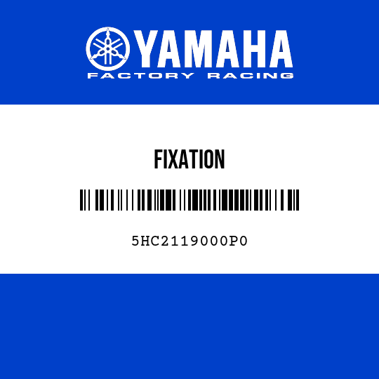 FIXATION