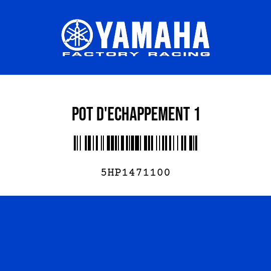 POT D'ECHAPPEMENT 1