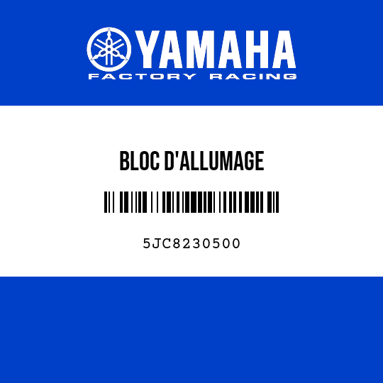 BLOC D'ALLUMAGE
