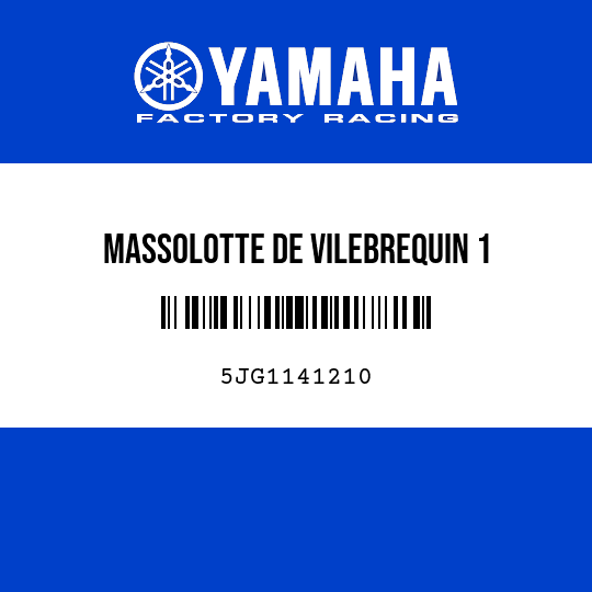 MASSOLOTTE DE VILEBREQUIN 1