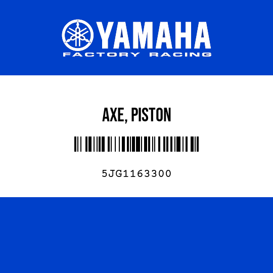 AXE, PISTON