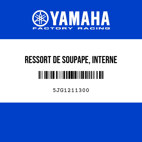 RESSORT DE SOUPAPE, INTERNE