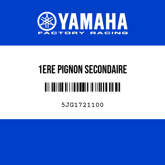 1ERE PIGNON SECONDAIRE
