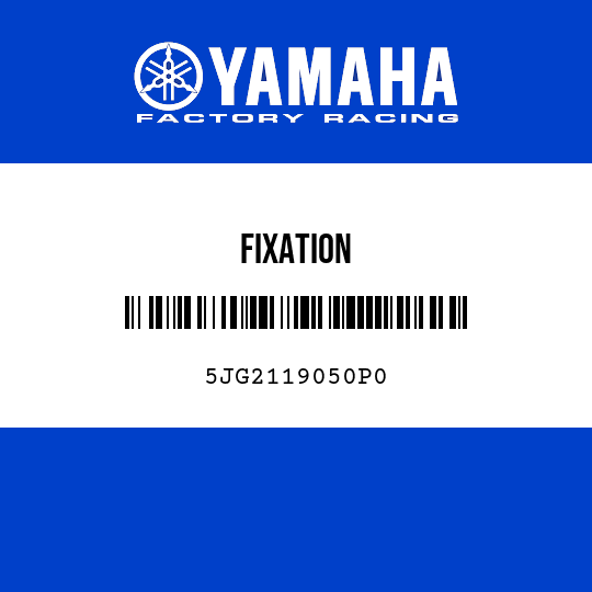 FIXATION