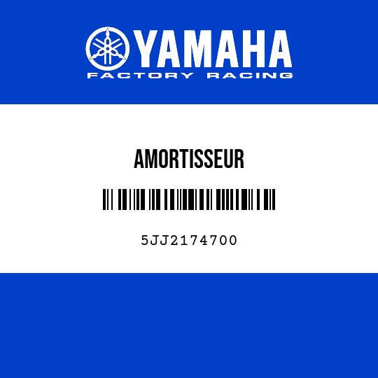 AMORTISSEUR
