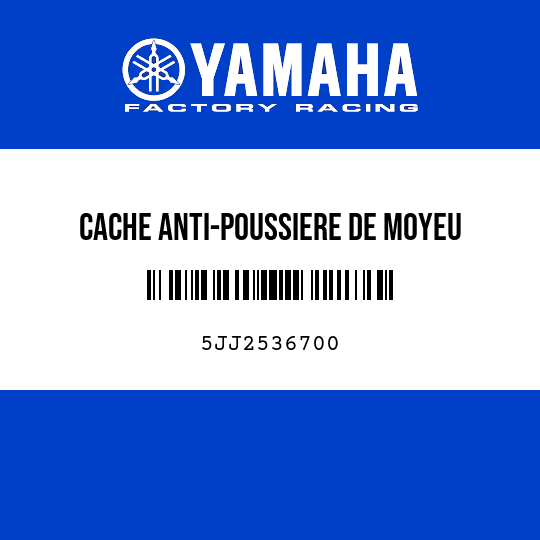 CACHE ANTI-POUSSIERE DE MOYEU