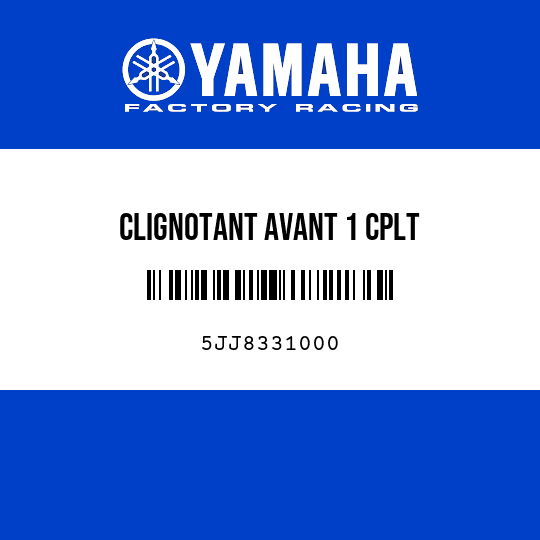 CLIGNOTANT AVANT 1 CPLT