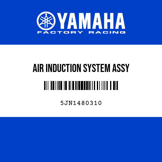 AIR INDUCTION SYSTEM ASSY