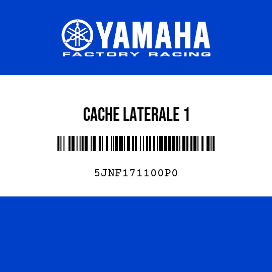 CACHE LATERALE 1