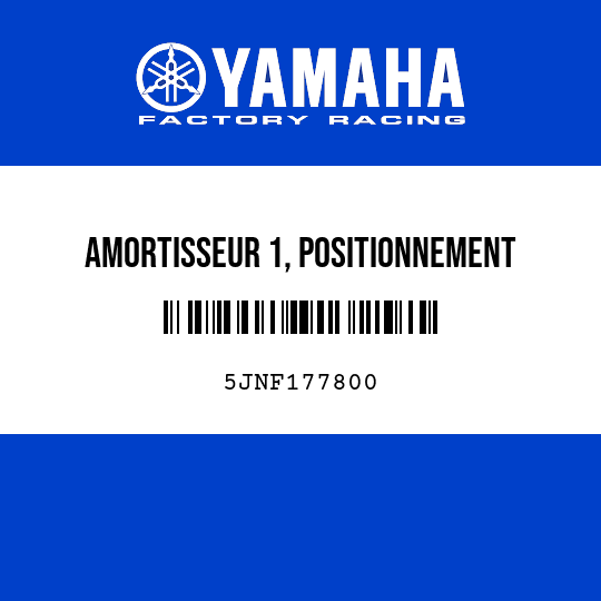 AMORTISSEUR 1, POSITIONNEMENT