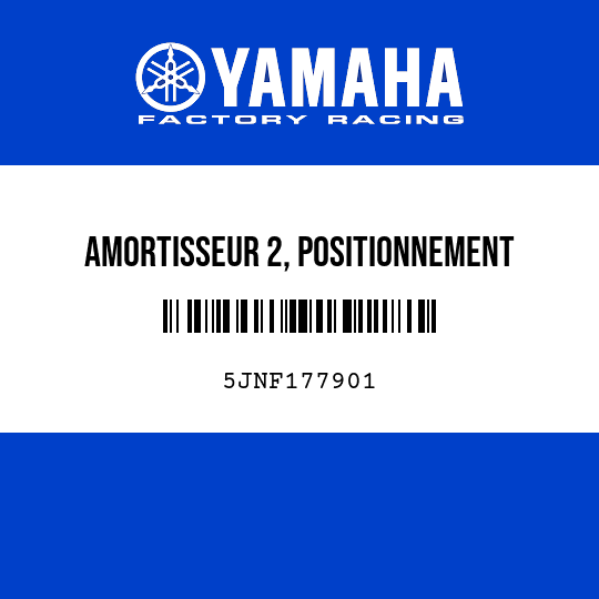 AMORTISSEUR 2, POSITIONNEMENT