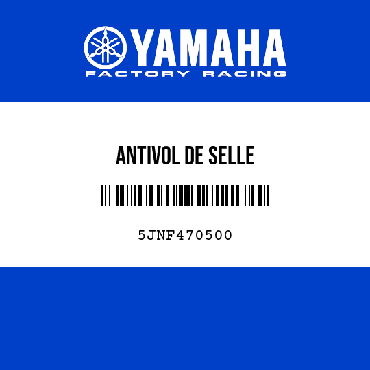 ANTIVOL DE SELLE