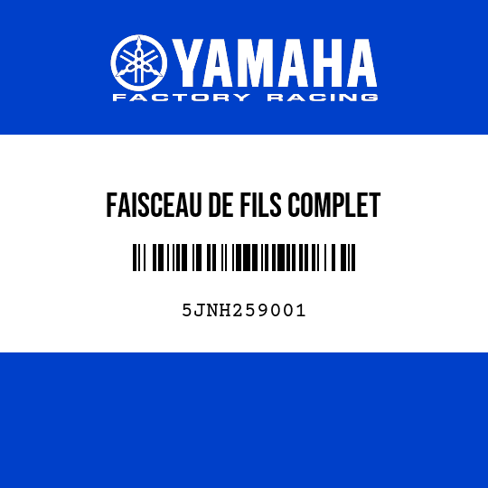 FAISCEAU DE FILS COMPLET