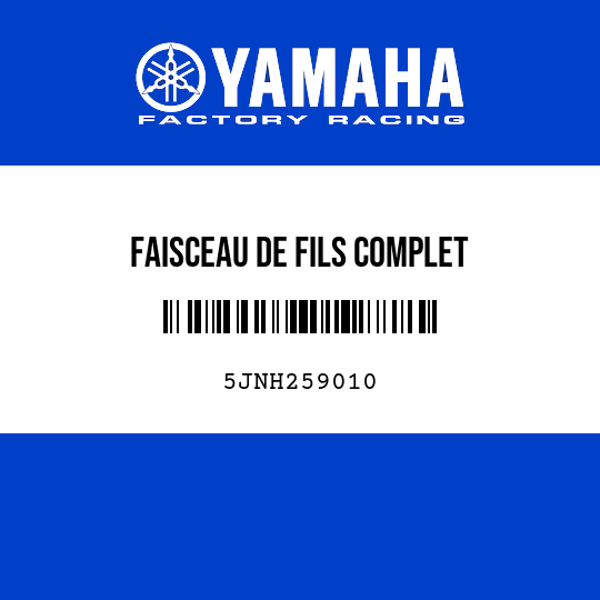 FAISCEAU DE FILS COMPLET