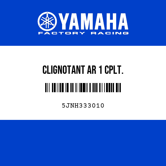 CLIGNOTANT AR 1 CPLT.