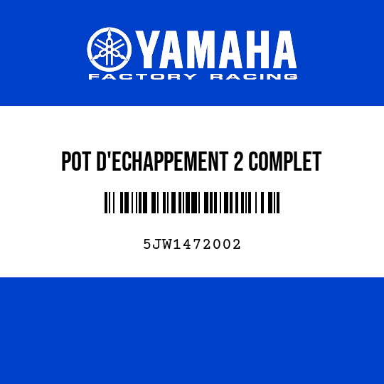 POT D'ECHAPPEMENT 2 COMPLET